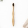 adult bamboo tooth brush color